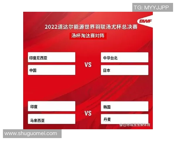 深圳羽毛球队在杯赛中的技术表现分析与总结